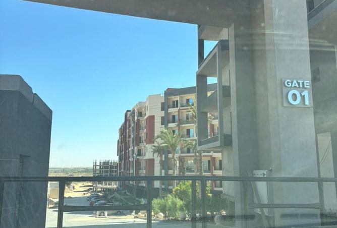 8203986 - Property Image 3