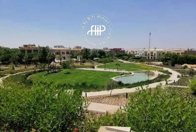 52970517 - صورة العقار 3