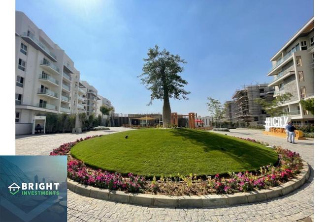 8204200 - صورة العقار 3