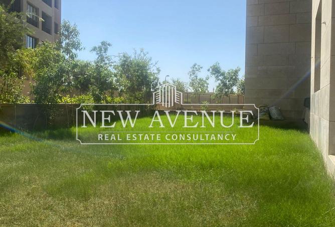 8376297 - Property Image 2