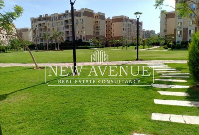 8386908 - Property Image 3