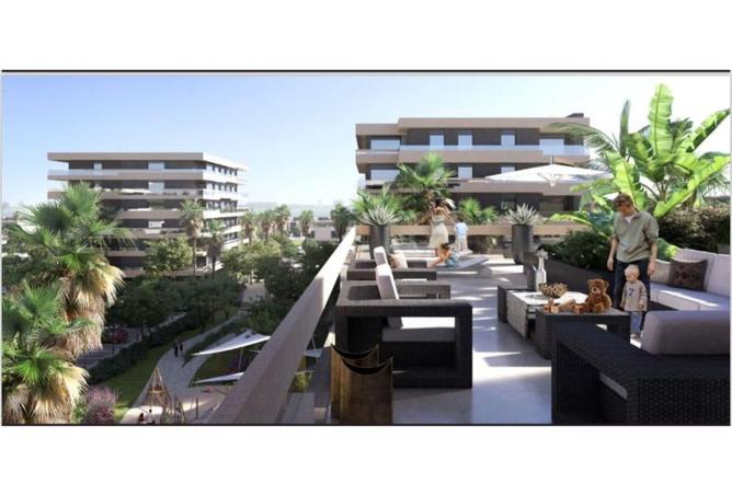 8205834 - Property Image 3