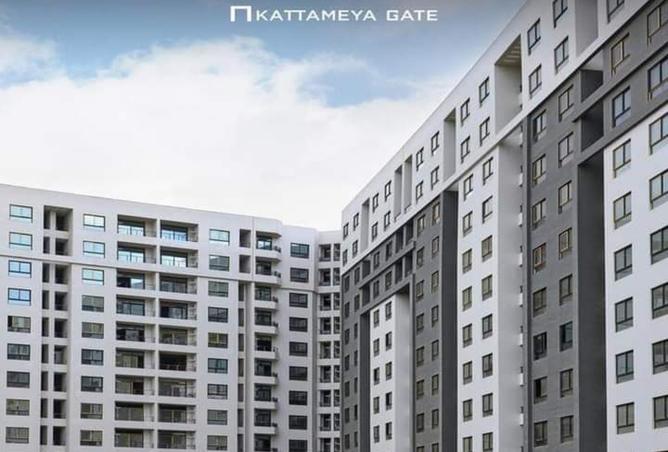 8205248 - Property Image 3