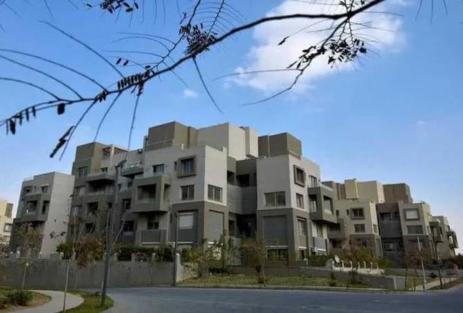 8205860 - صورة العقار 3