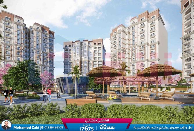 8205638 - Property Image 2