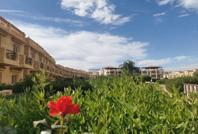 8206396 - Property Main Image