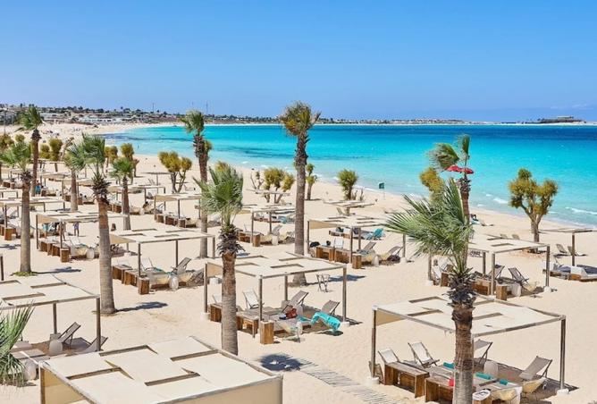 8206502 - صورة العقار 2