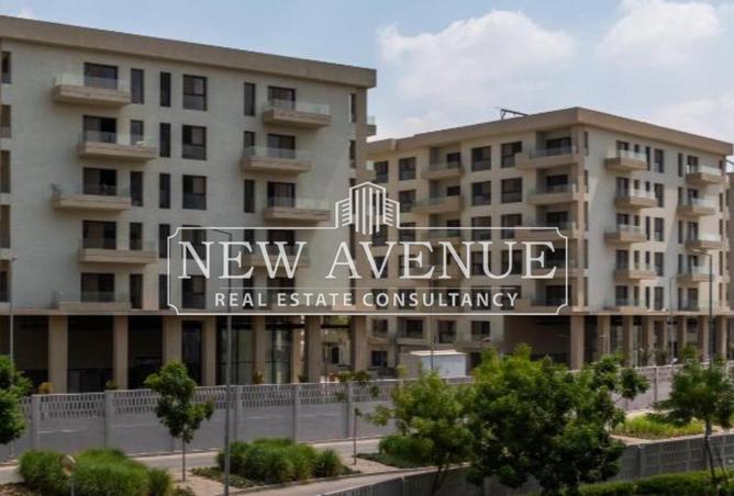 8385980 - Property Image 3