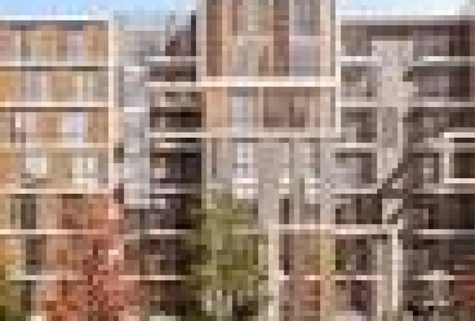 8209468 - Property Image 3