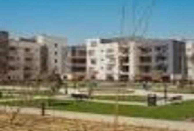 8210630 - صورة العقار 3