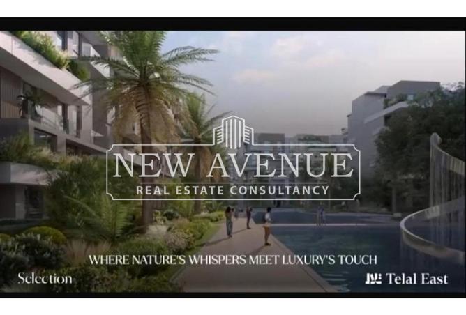 8215678 - Property Image 3