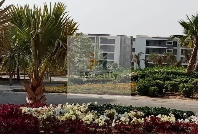 8404031 - الصورة الرئيسية للعقار