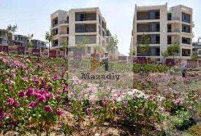 8404031 - صورة العقار 2