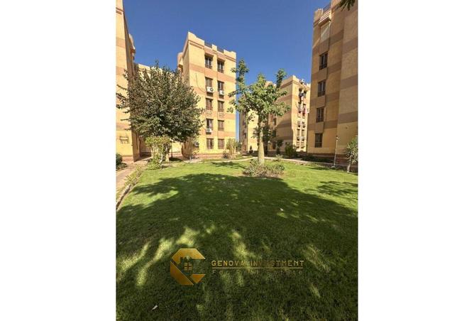 8211404 - صورة العقار 3