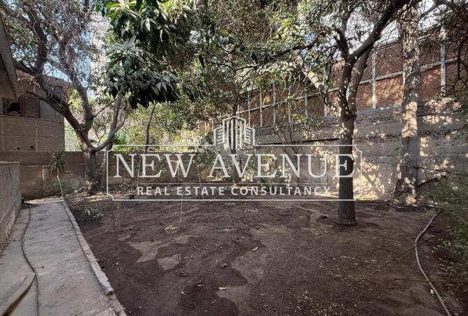 8214921 - Property Image 3