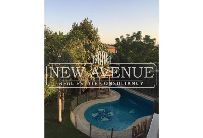 8234610 - Property Image 2