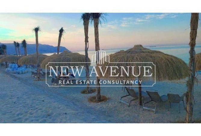 8212999 - صورة العقار 3