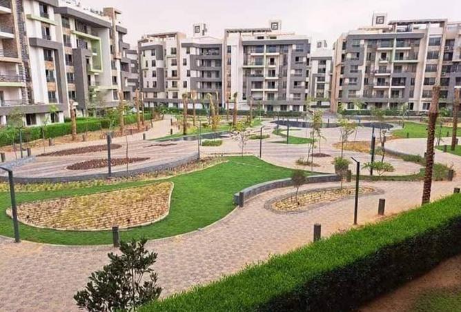 8213352 - Property Image 3