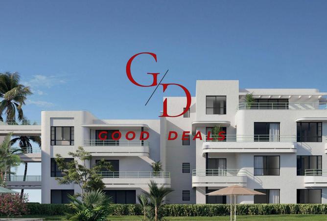 8214493 - Property Image 3