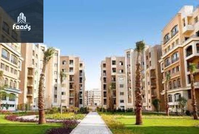 8216863 - Property Image 3