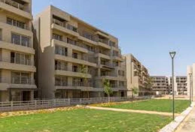 8217331 - Property Image 3