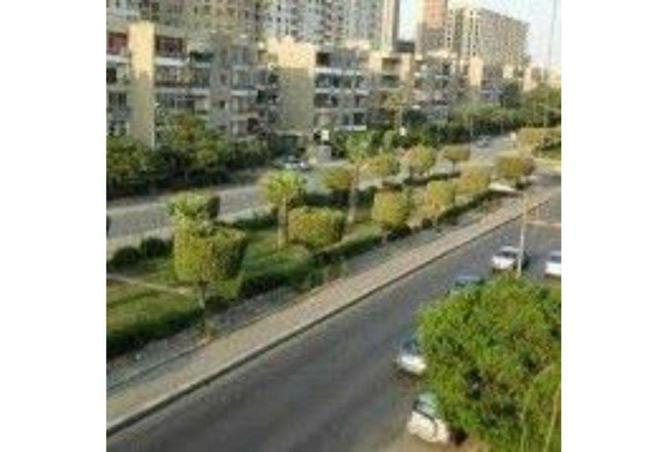 8217634 - صورة العقار 3