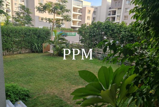 8218116 - صورة العقار 2