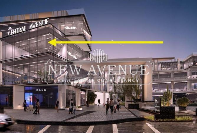 8412975 - Property Image 3