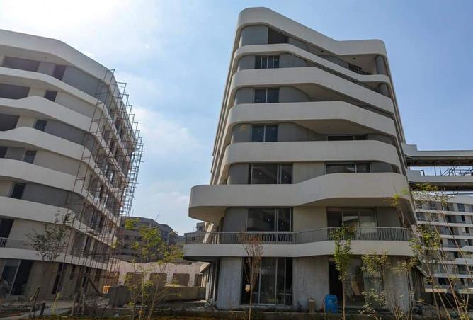 8220336 - Property Image 2