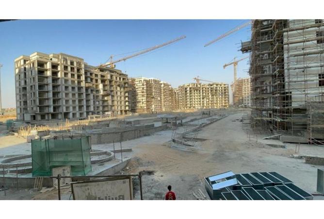 8393376 - صورة العقار 2