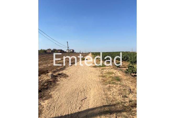 8220008 - صورة العقار 3