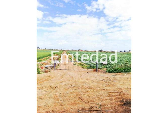 8220008 - الصورة الرئيسية للعقار