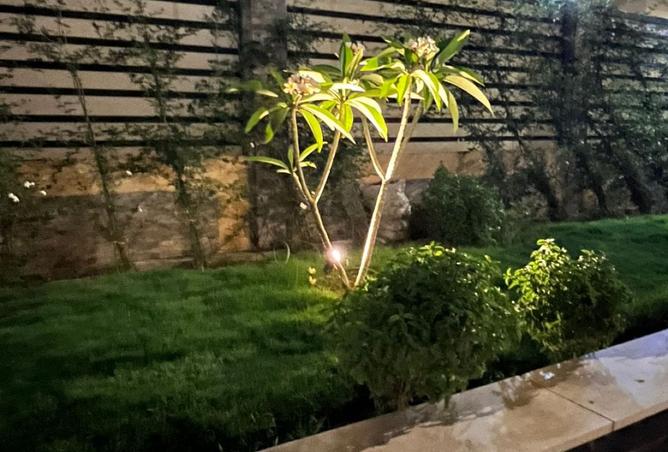 8220907 - صورة العقار 2