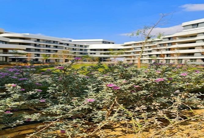 8221387 - الصورة الرئيسية للعقار