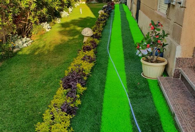 8222862 - صورة العقار 3