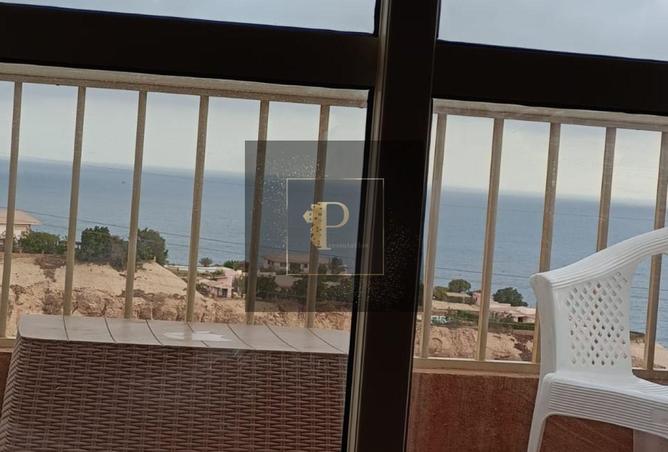 8223086 - Property Image 3