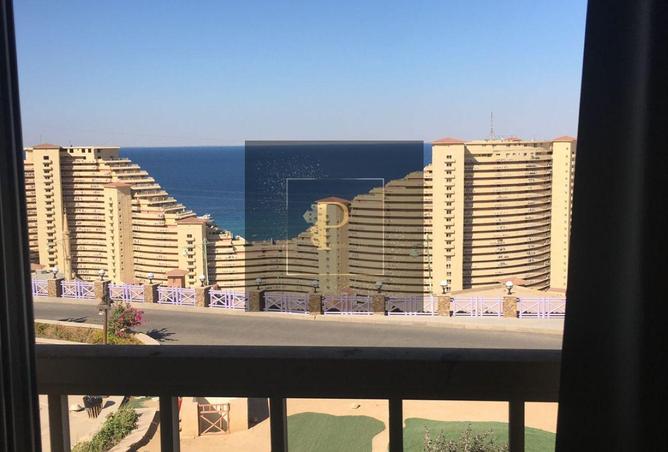 8223100 - Property Image 3