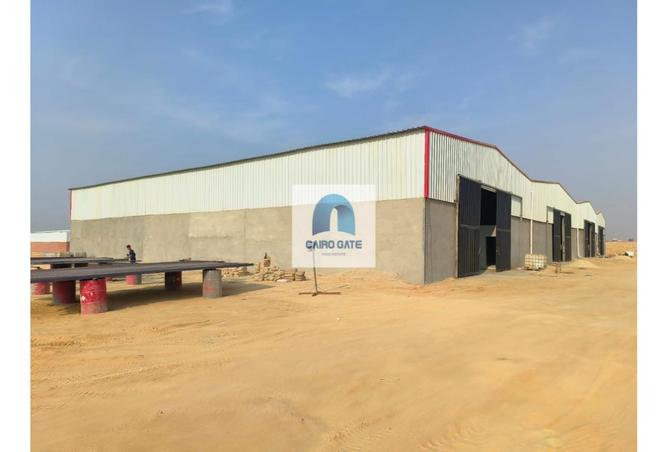 8224176 - صورة العقار 2