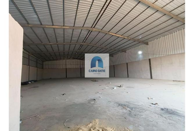 8224176 - صورة العقار 3