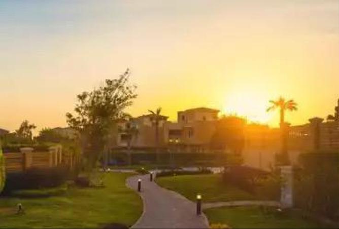 8225176 - Property Image 3