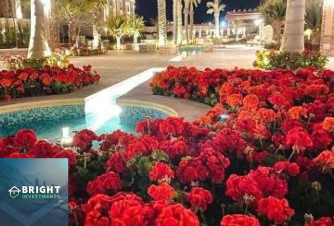 8225417 - صورة العقار 2