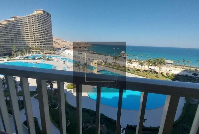 8225579 - Property Image 3