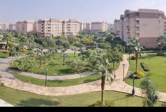 8225768 - صورة العقار 2