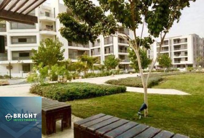 8225957 - صورة العقار 3