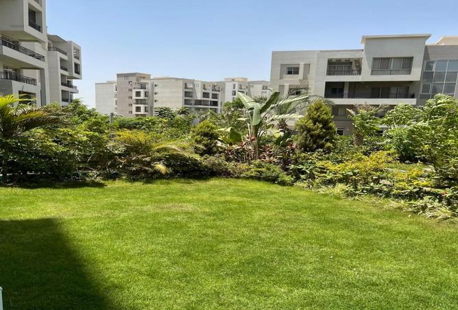 8228127 - صورة العقار 3