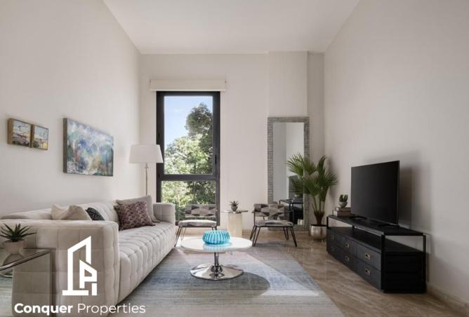 8228804 - صورة العقار 3