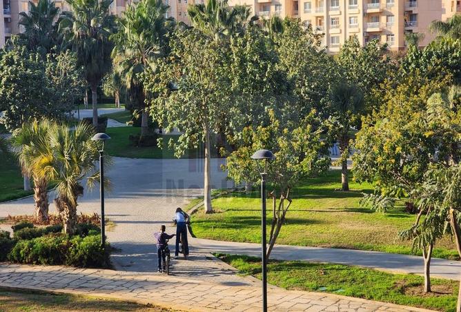 8244553 - Property Image 2