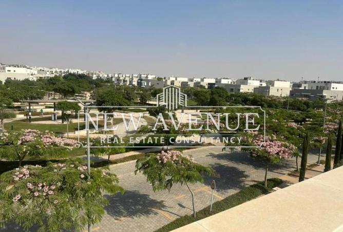 8253844 - Property Image 2