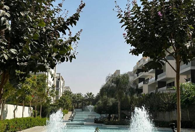 8231233 - صورة العقار 2