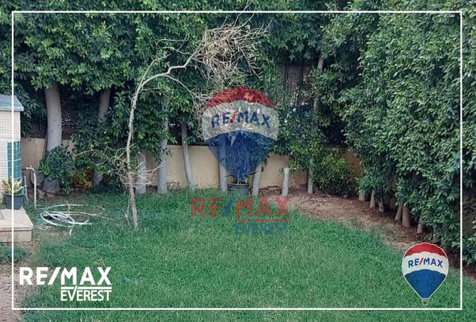 8231494 - Property Image 3